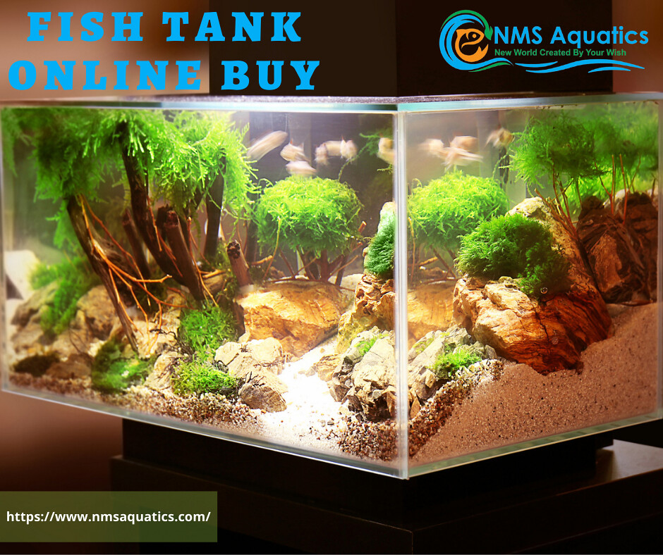 fish tank online buy fish tank online buy . . www.nmsaquat… Flickr
