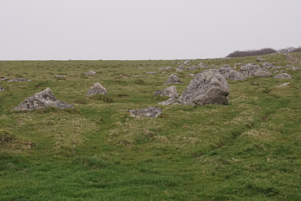 Fyfield down Marlborough Fyfield down a rocky field of Sar… Flickr