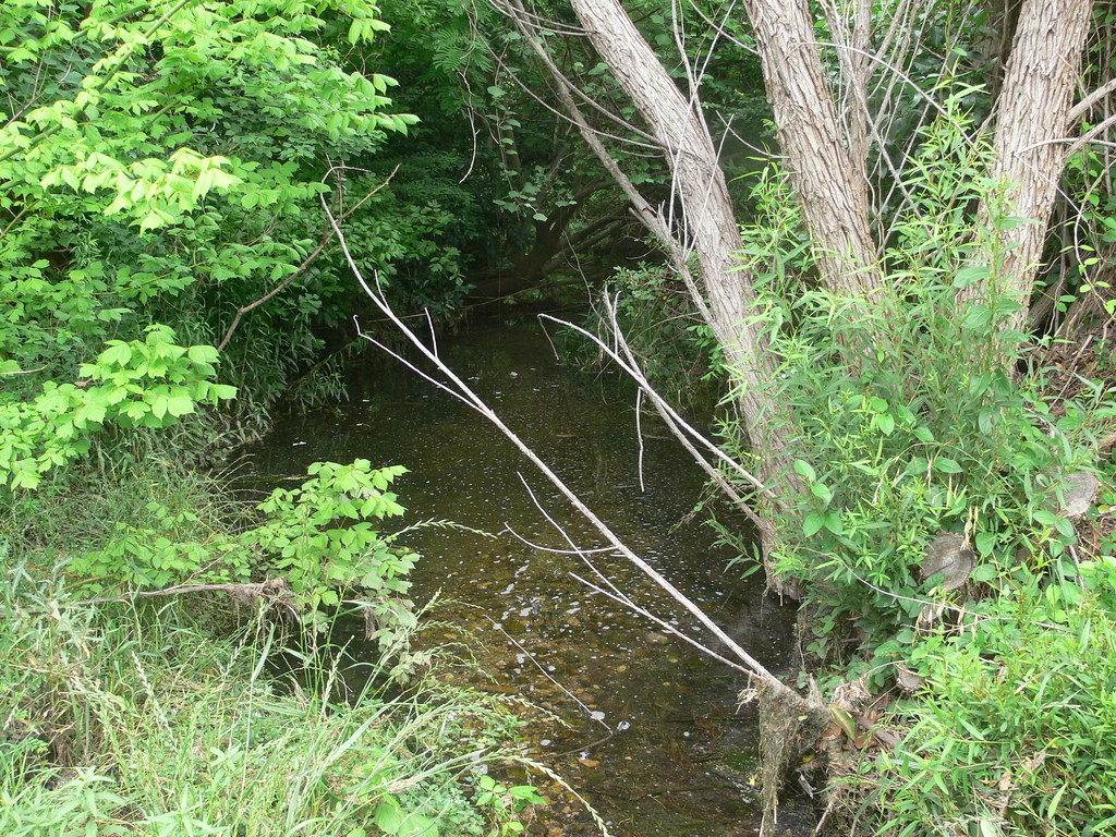 P1120460 2013 View of Town Creek, 2013. Taken in the sam… Flickr
