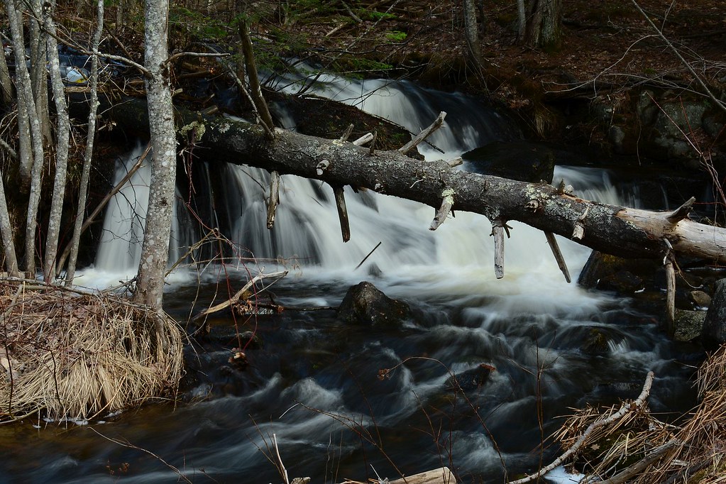 20210407EffinghamFalls0009 Effingham, New Hampshire. Eff… Flickr