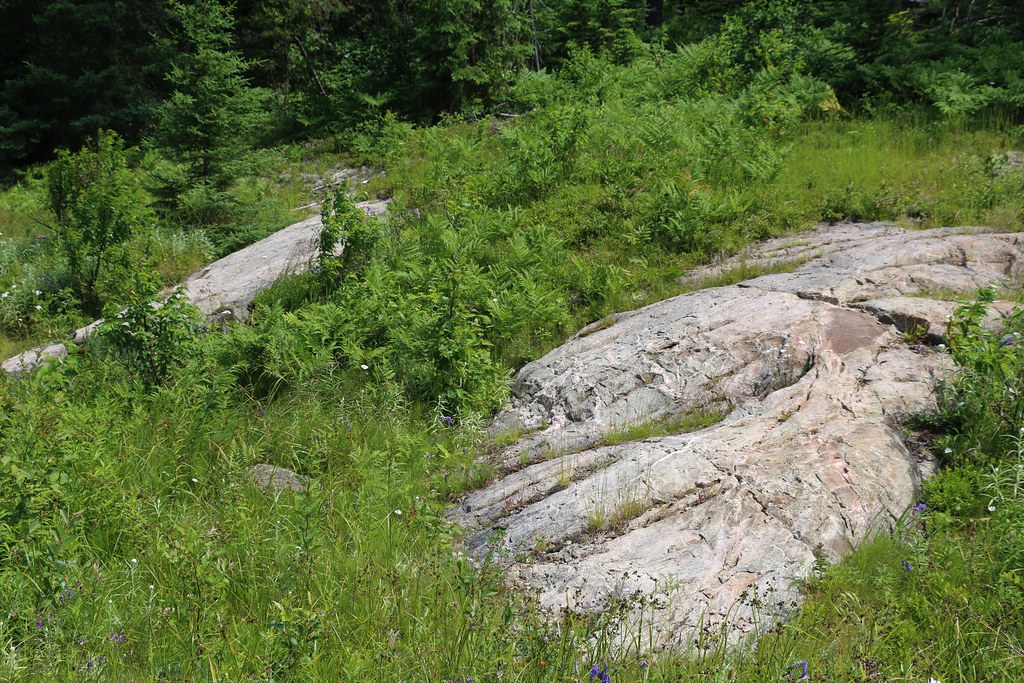 301 July 16, 2017 Kirkland Lake, stop 12, Crystal Lake… Flickr