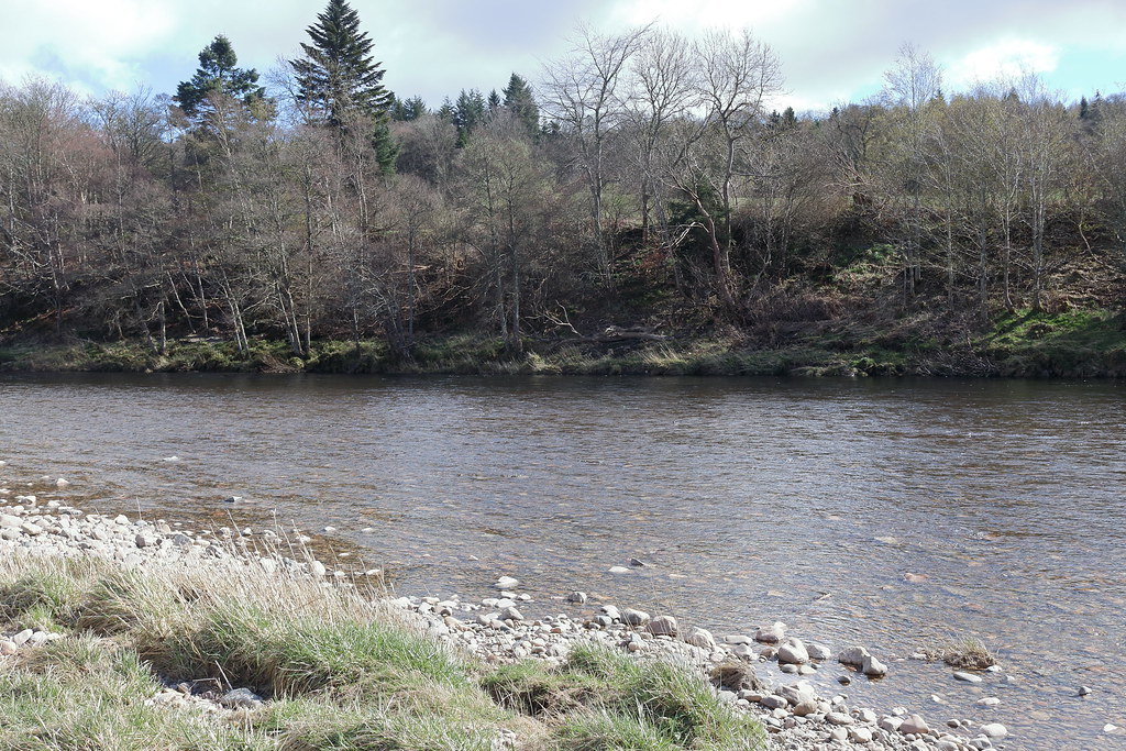 River Dee,Milltimber Brae,Aberdeen_apr 21_5397 Alan Longmuir. Flickr