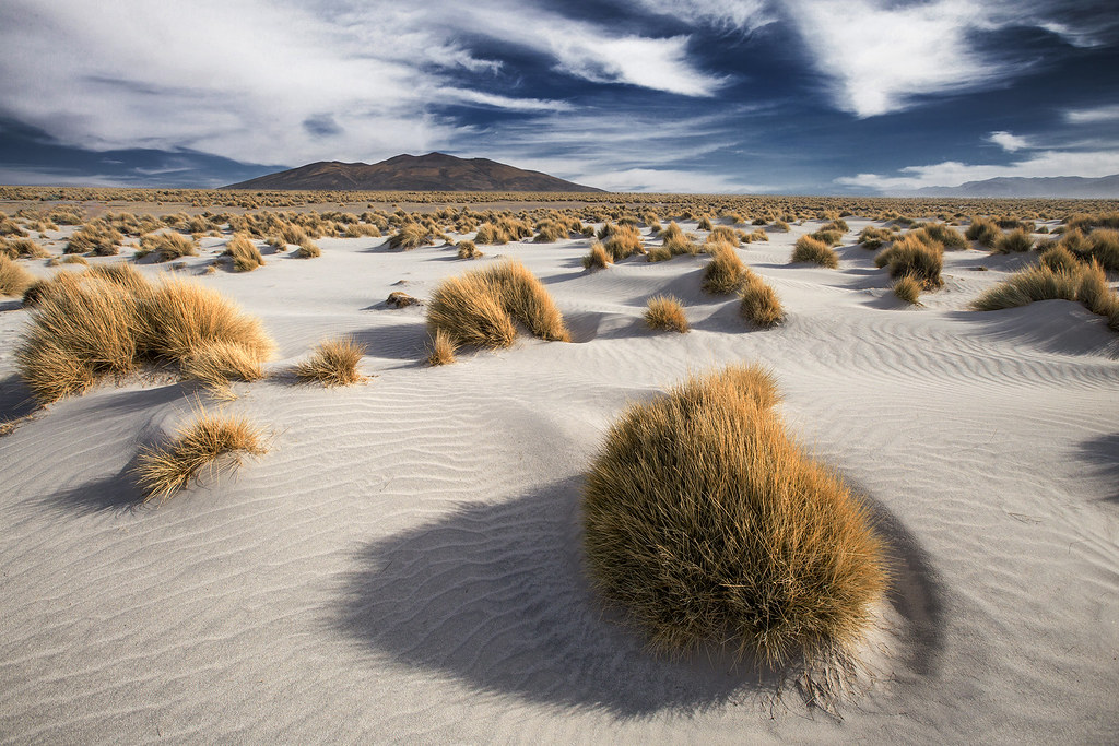 the driest place on Earth (explore) There are numerous pla… Flickr