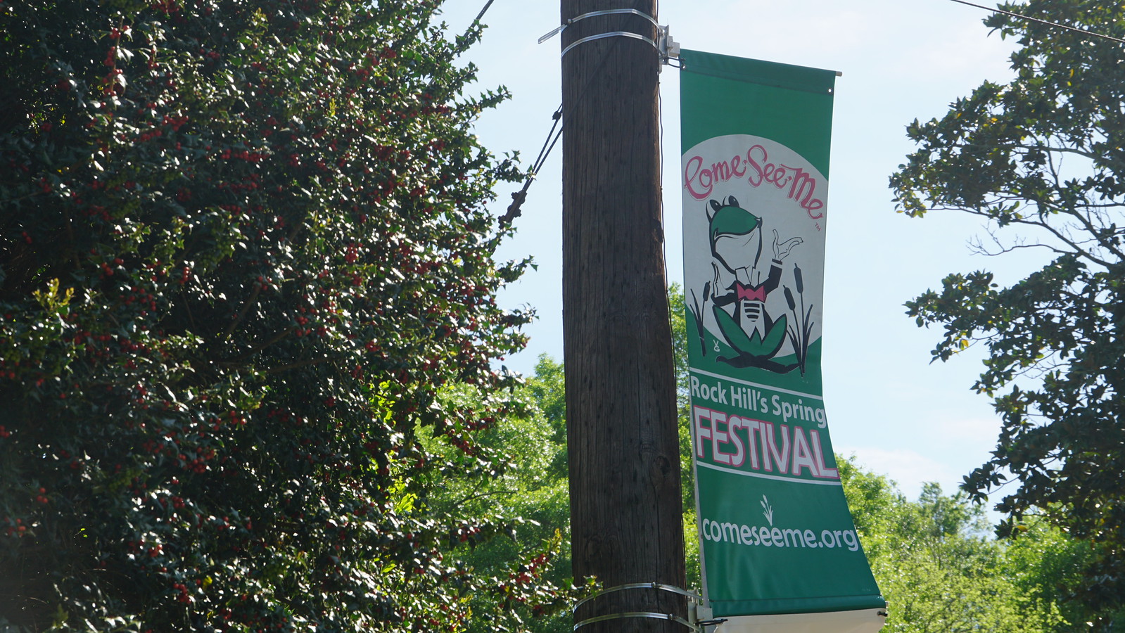 Glencairn Garden April 2021 Flickr