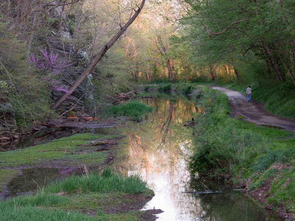 Pennyfield Lock, C&O Canal (take two) 1392 Steve Unlikely! Flickr