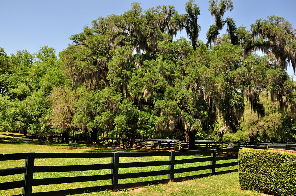 Pebble Hill PlantationThomasville Ga 3000 acre Plantation… Flickr