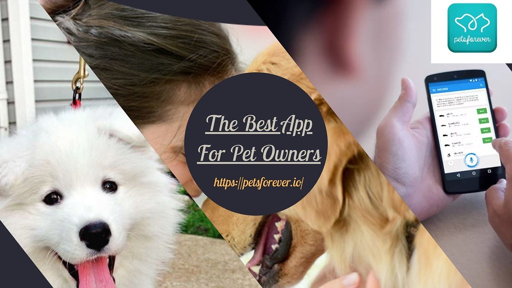 The Best App For Pet Owners As a new dog owner, how many t… Flickr