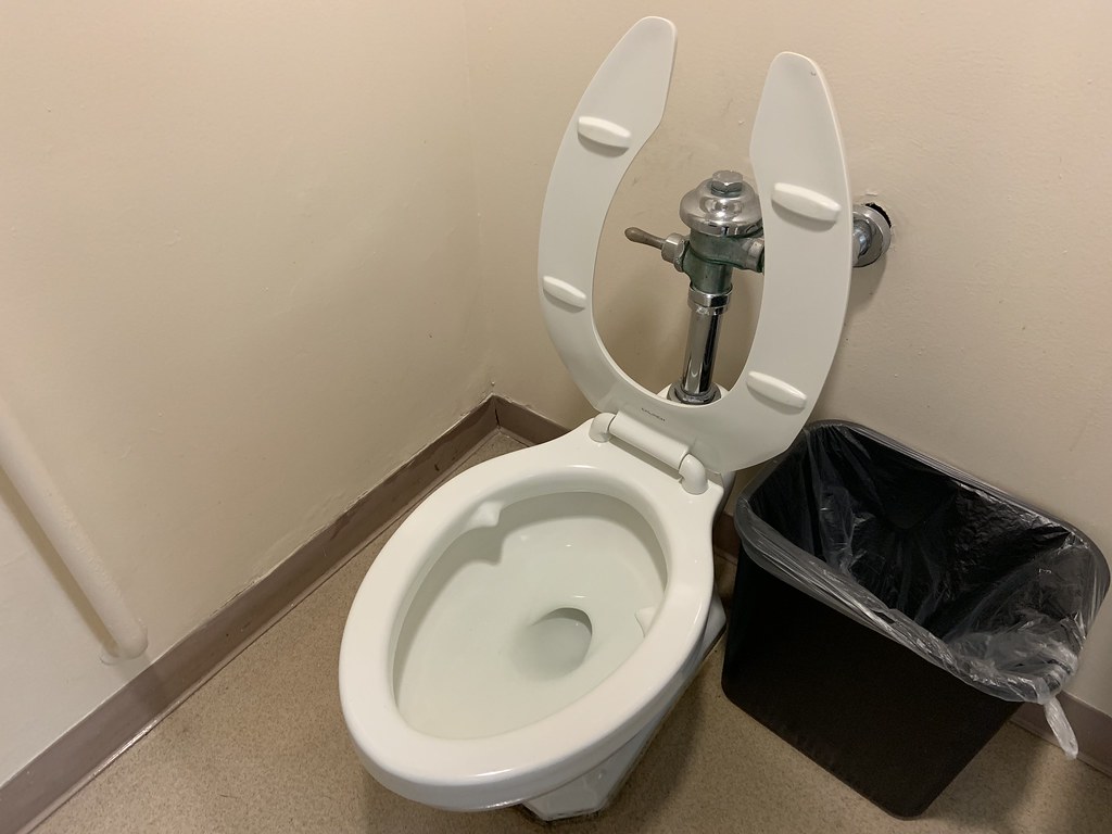 “Standard” Afton Toilet with bedpan lugs Elyse Horvath Flickr
