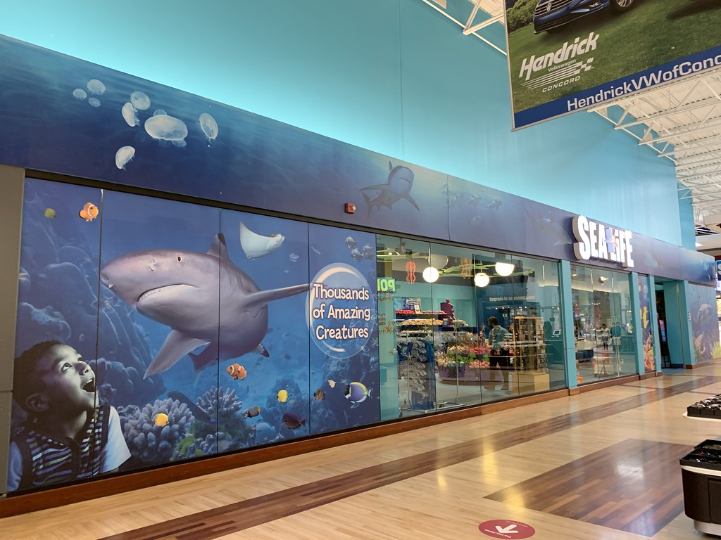 Sea Life Aquarium a photo on Flickriver