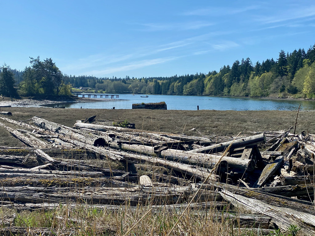 Cove in Hadlock Bay Randal Rodgers Flickr