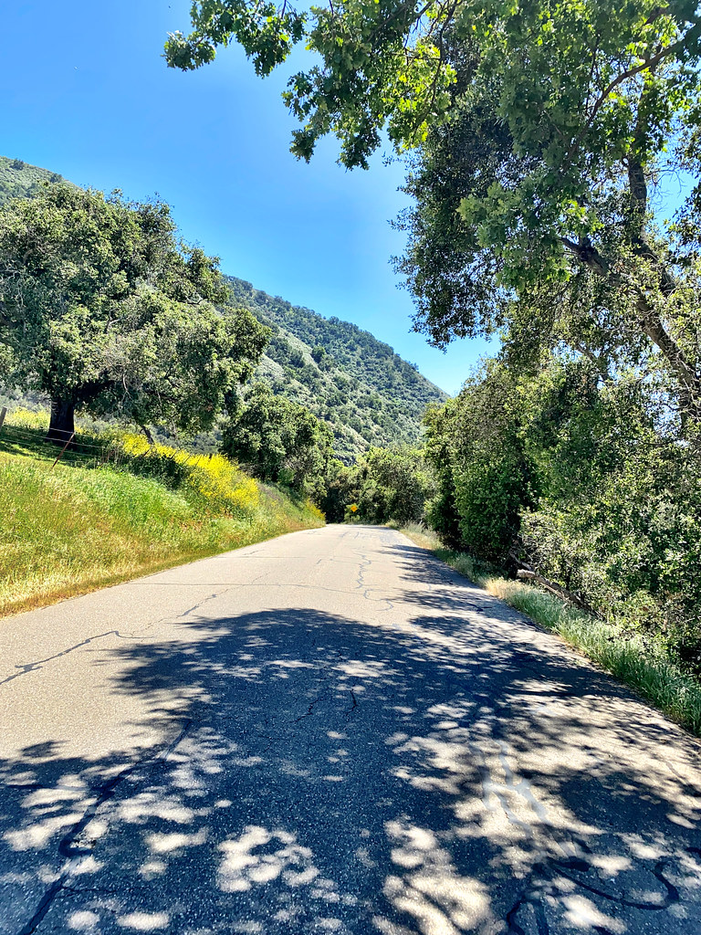 04/18/2021. We took an 83 mile to ride up Tepusquet Canyo… Flickr