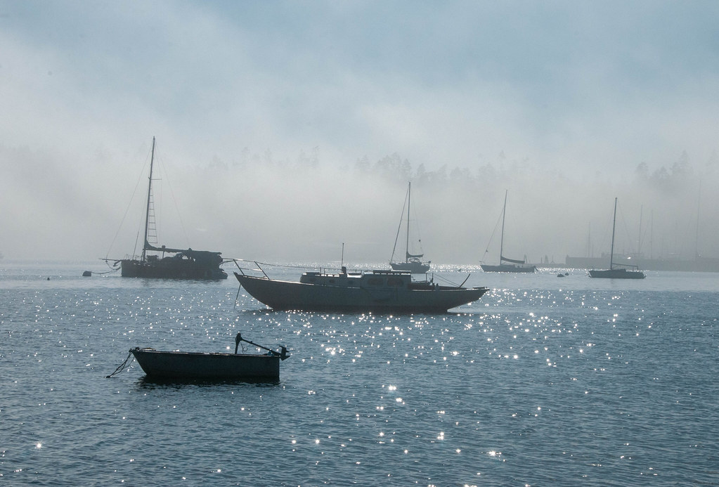 Port Hadlock marine fog Randal Rodgers Flickr