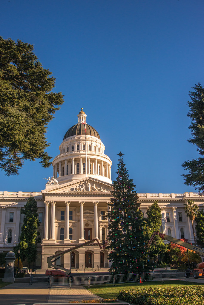California State Capitol Christmas Tree Wayne Hsieh Flickr