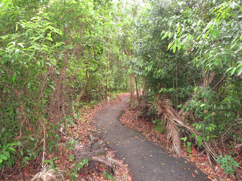 Gumbo Limbo Trail, Everglades National Park, Florida Flickr