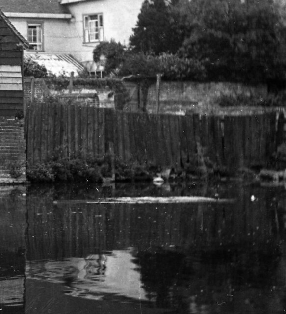 Glass slide negatives Large boxed boght in Glass slide neg… Flickr