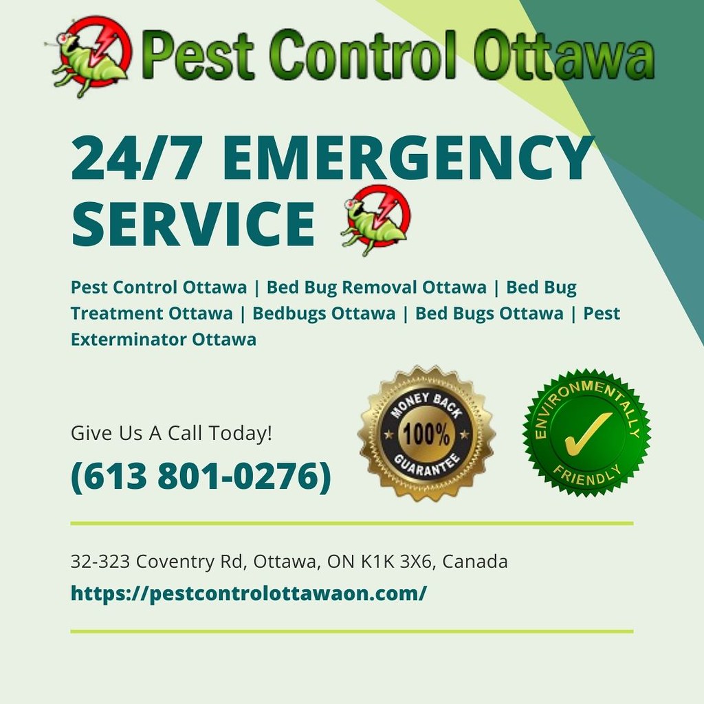 Pest Control Ottawa to Pest Control Ottawa. We are… Flickr