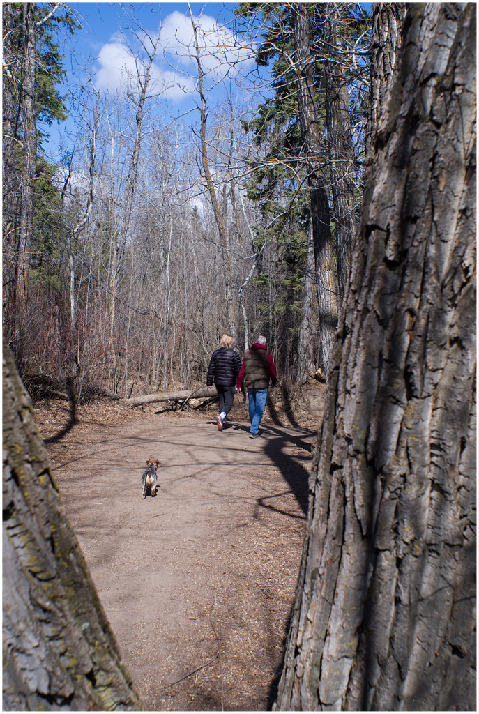 DSCF6822 Buena Vista Dog Park, Edmonton, Alberta Stefan Andel Flickr