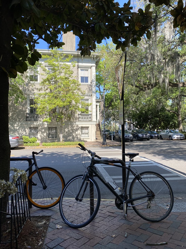 Savannah sketched and references AE Reed Flickr