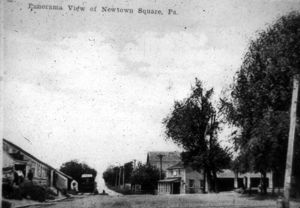 Landscaper Chester Hill 1 Landscape Design in Chester Hill NSW