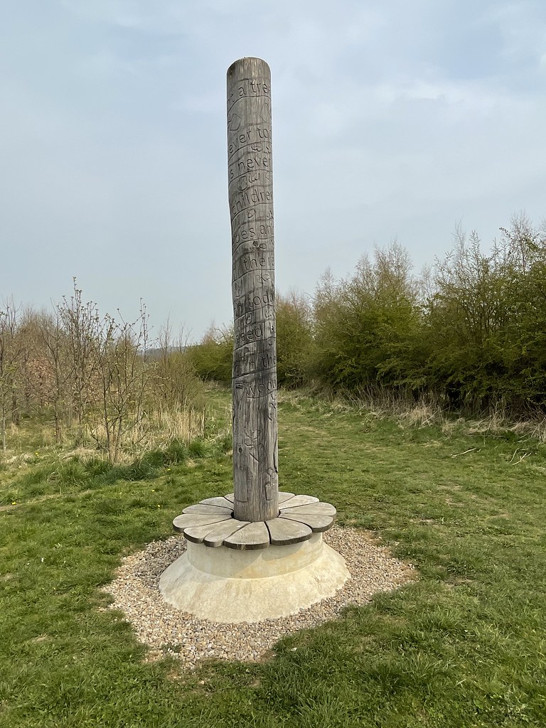 Plant for the Future, Durham Low Burnhall Woods Simon Clem… Rory