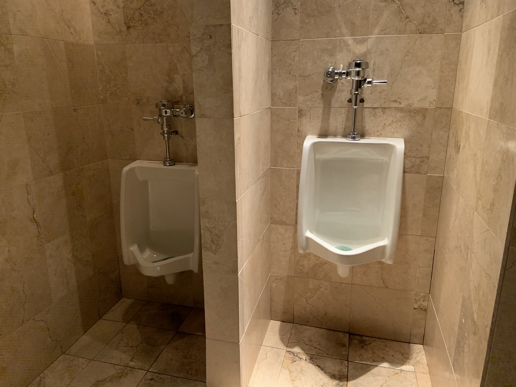 American Standard Washbrook urinals Elyse Horvath Flickr