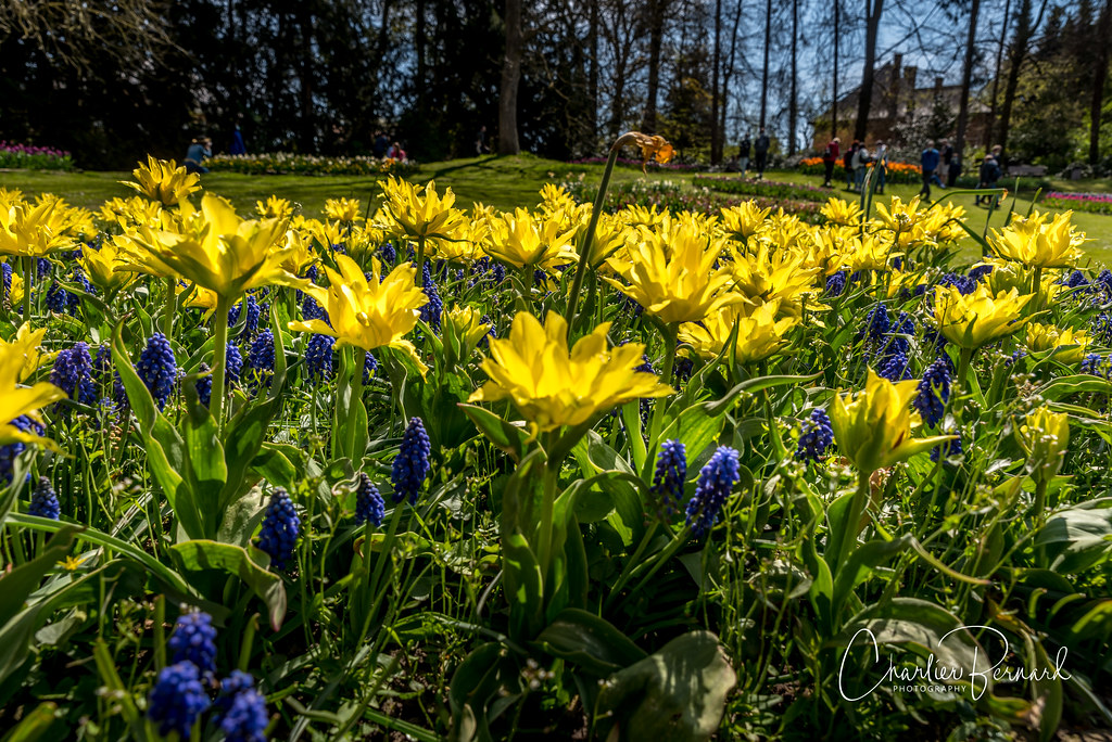 Floralia Brussel 2021 Floralia au château de Grand Bigard … Flickr