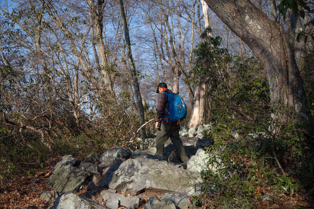 Delaware Water Gap National Recreation Area Sunfish Pond, … Flickr