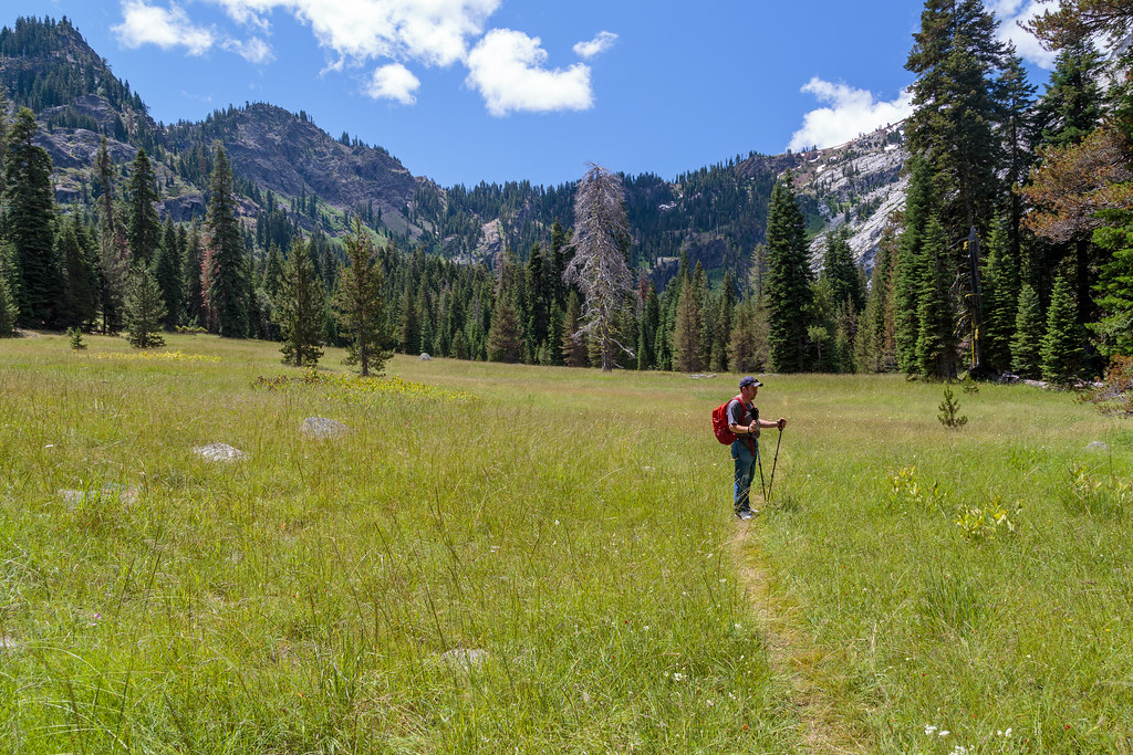 Travis in Salmon River Meadows Scott Allshouse Flickr