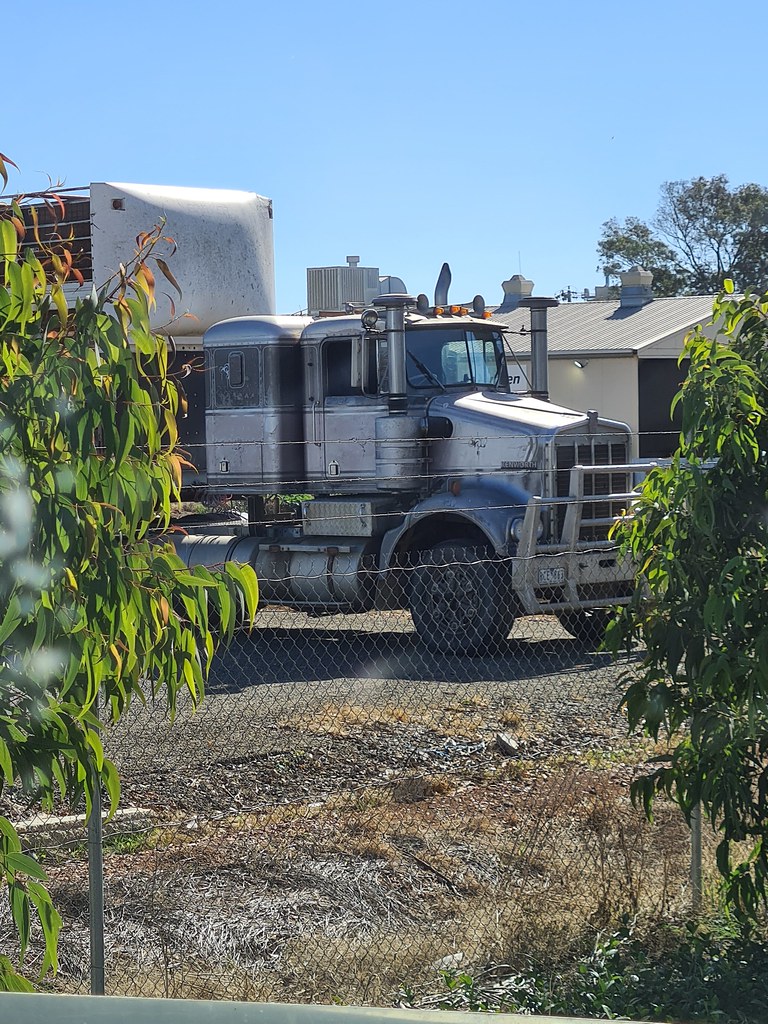 Corowa sale yards 1975webby Flickr