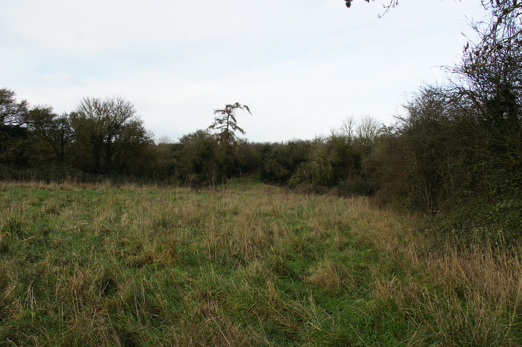 Private land off Tingewick Road, Buckingham, Buckinghamshi… Flickr