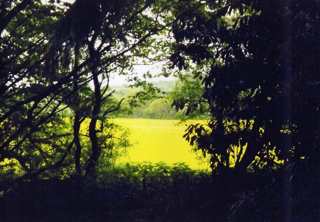 On the Priory Estate, Stoke by Nayland Suffolk by Lynn Bal… Flickr