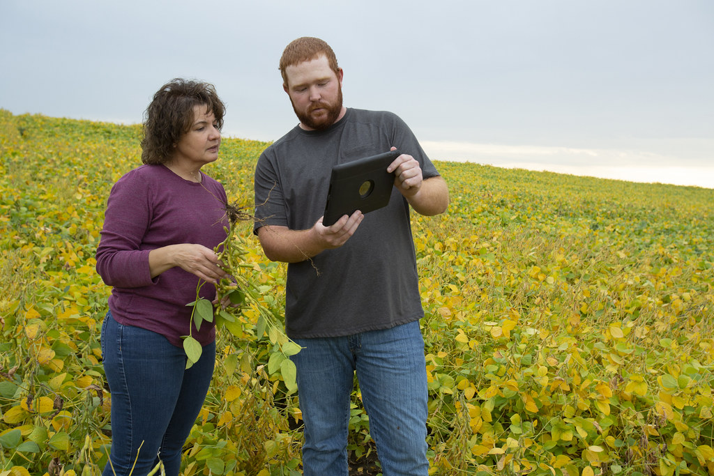 _10A1248 United Soybean Board Flickr