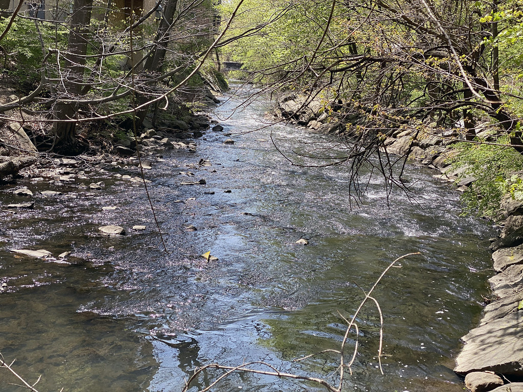 Picture Of The Bronx River Taken In Tuckahoe New York. Pho… Flickr