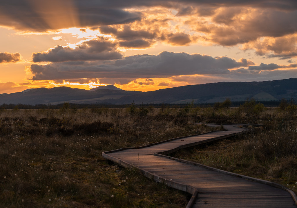 Meandering walk Flanders moss National nature reserve daniel