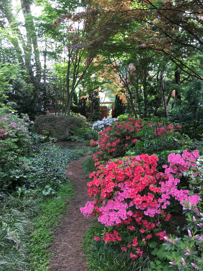 Garden Tour 2021 Flickr