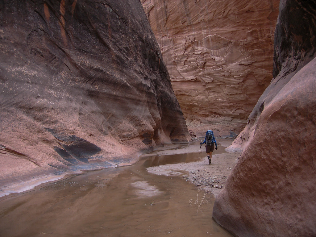 Halls Creek Narrows, UT, 1617 April 2009 Flickr