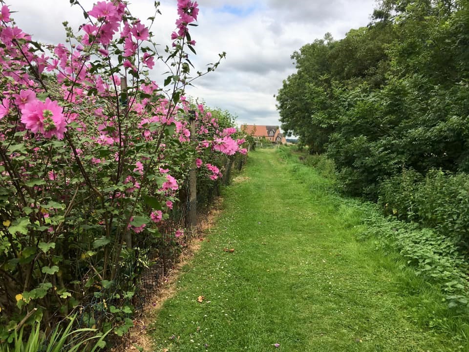 39367 Skellingthorpe a village in North Kesteven, Lincolns… Flickr