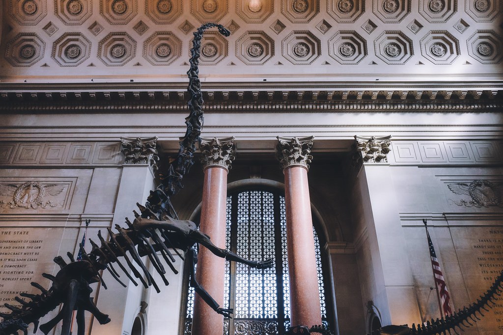 Mounted Bones and Mounted Stones American Museum of Natura… Flickr