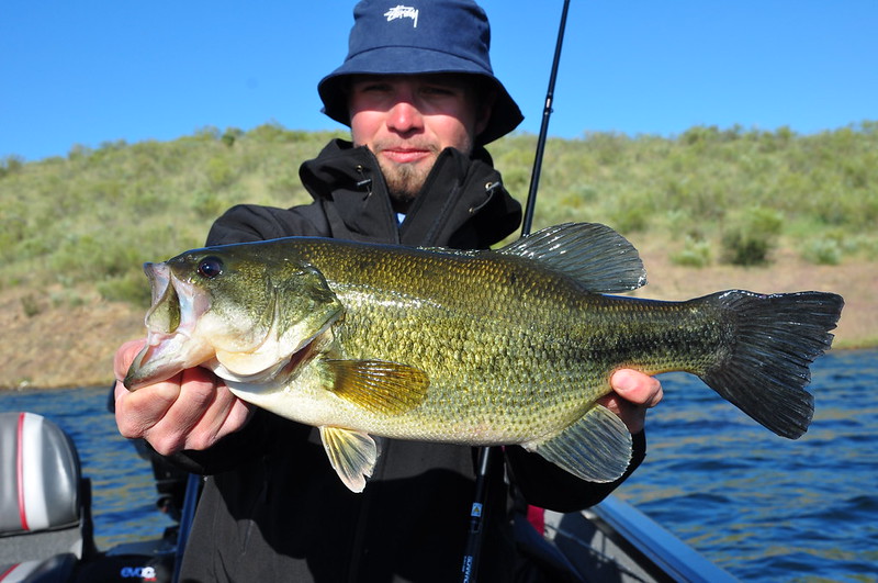 Chasing Monster Largemouth Bass Spain, Spring 2021 projetbassthumb