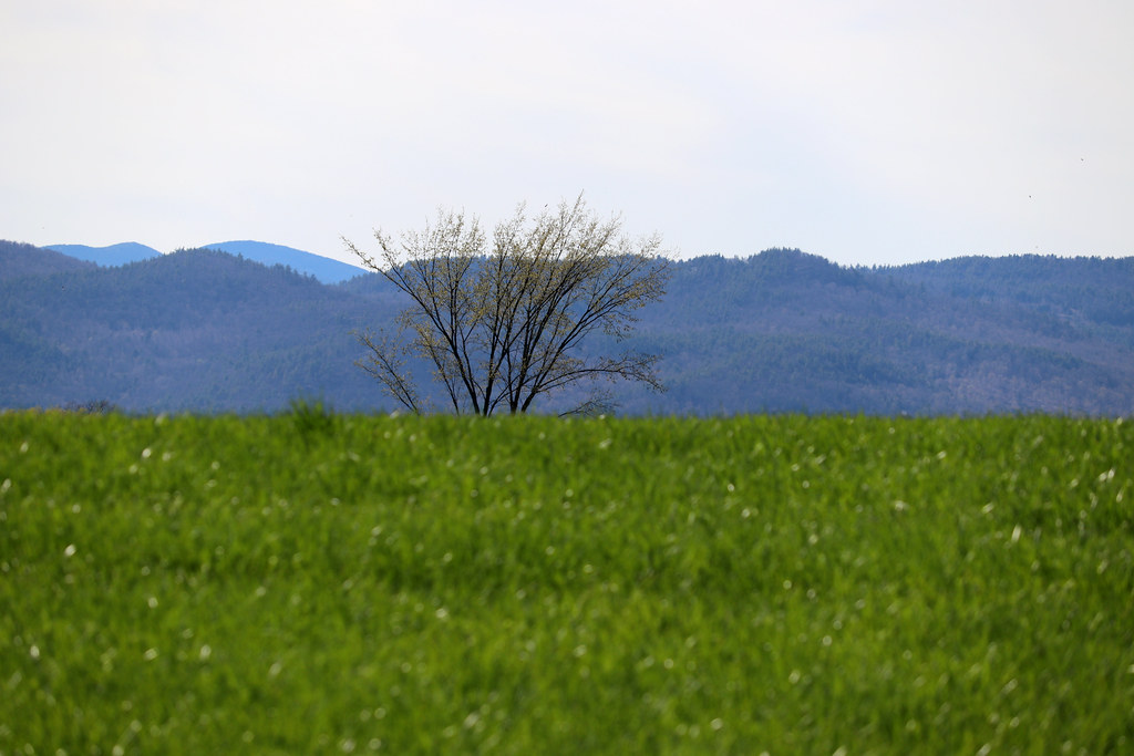 looking west Addison Vermont Mike Greenwood Flickr