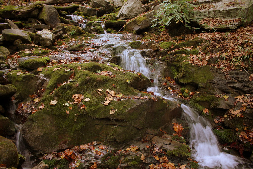 Cumberland Gap Mountain Stream a photo on Flickriver