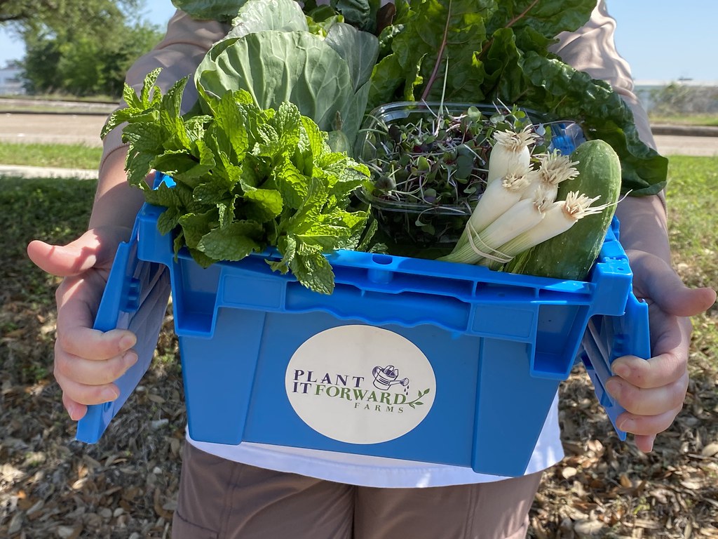 IMG_9825 Plant It Forward Farms Flickr
