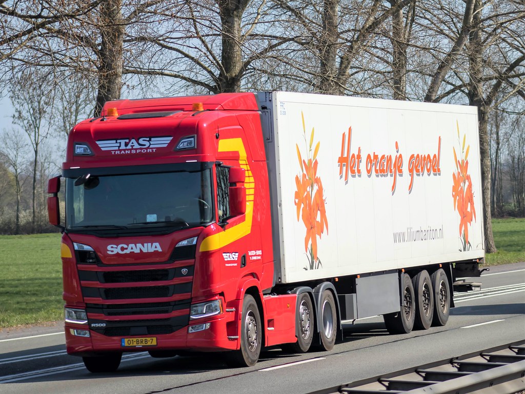 Scania R500 highline nextgen, from TAS transport, `t Zand … Flickr