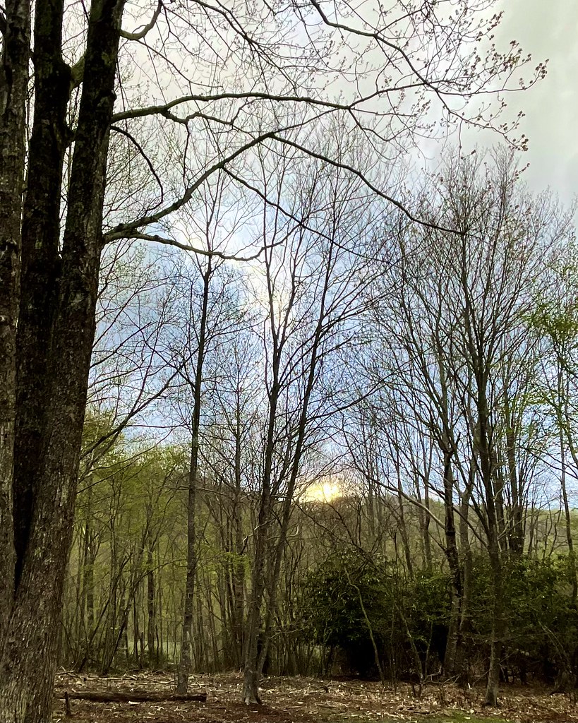 Elevation of Woodlake Loop Rd, Elk Park, NC, USA Topographic Map