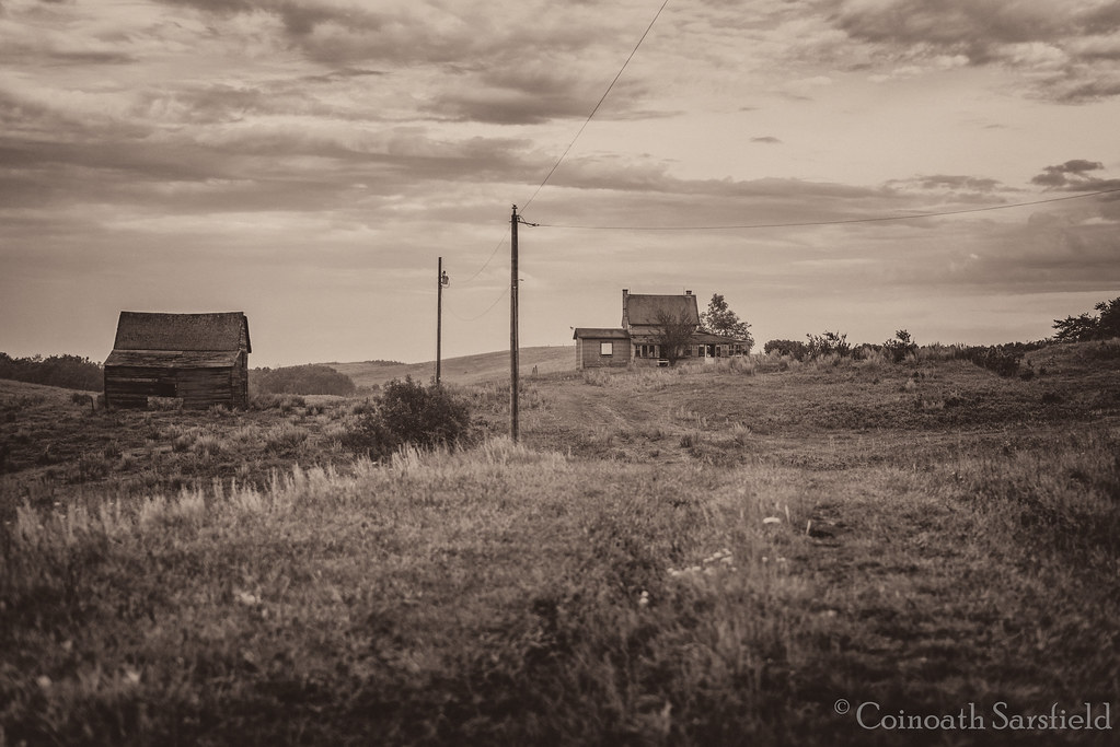DSC_4927Edit Abandoned homestead near Byemoor, Alberta Coinoath