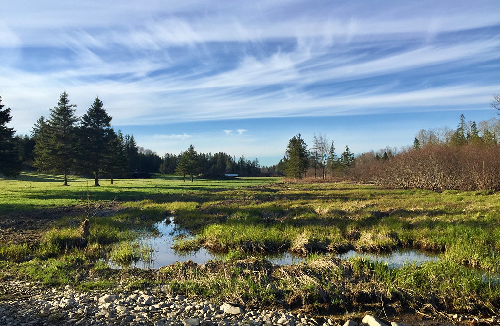 Spring is Here!... in Nothern Maine River de Chute. Easton… Flickr