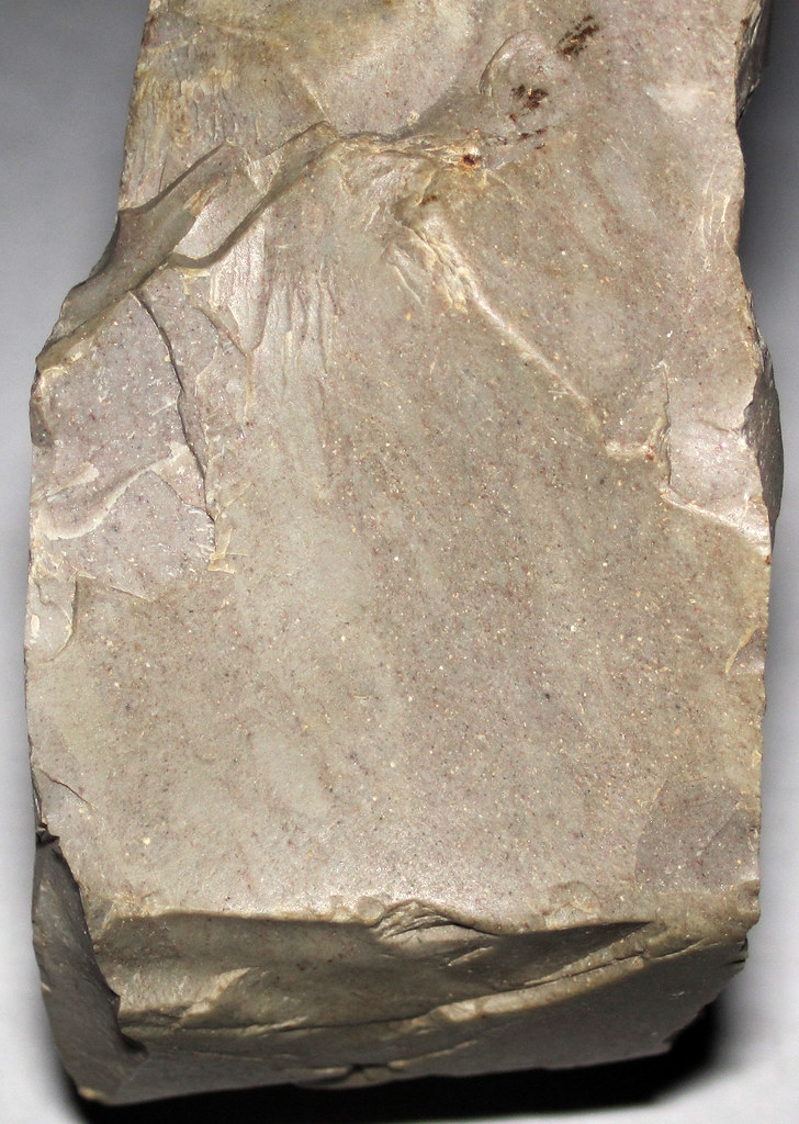 Gray chert (Knox County, Ohio, USA) 3 Chert is a cryptocry… Flickr