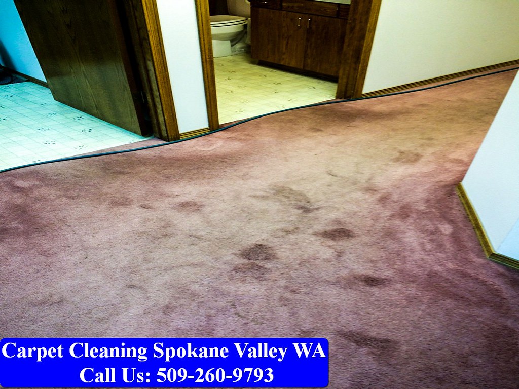 Carpet Cleaning Spokane Valley046 Carpet Gurus Spokane … Flickr