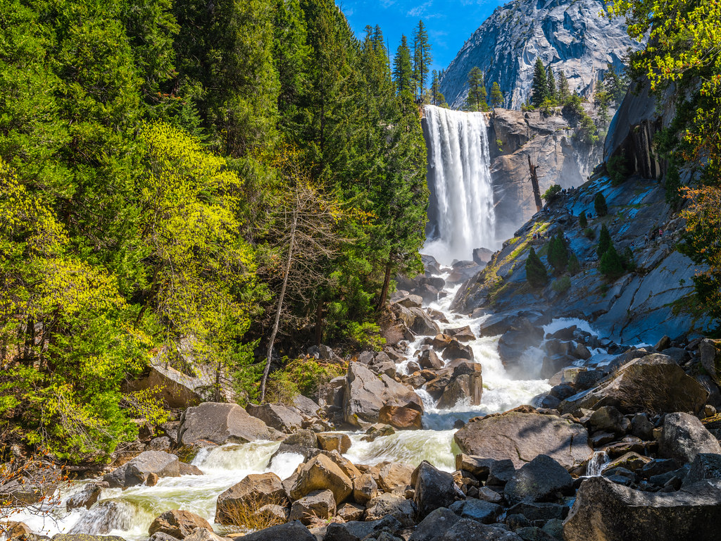Vernal Falls Yosemite National Park Spring Wildflowers & Waterfalls 45EPIC Elliot McGucken Fuji