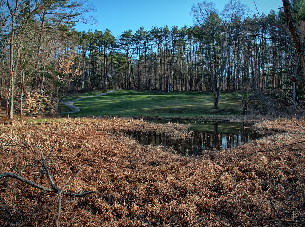 Transitions Chenango Valley State Park Chenango Forks, NY Alan